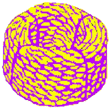 Radiation Warning rape